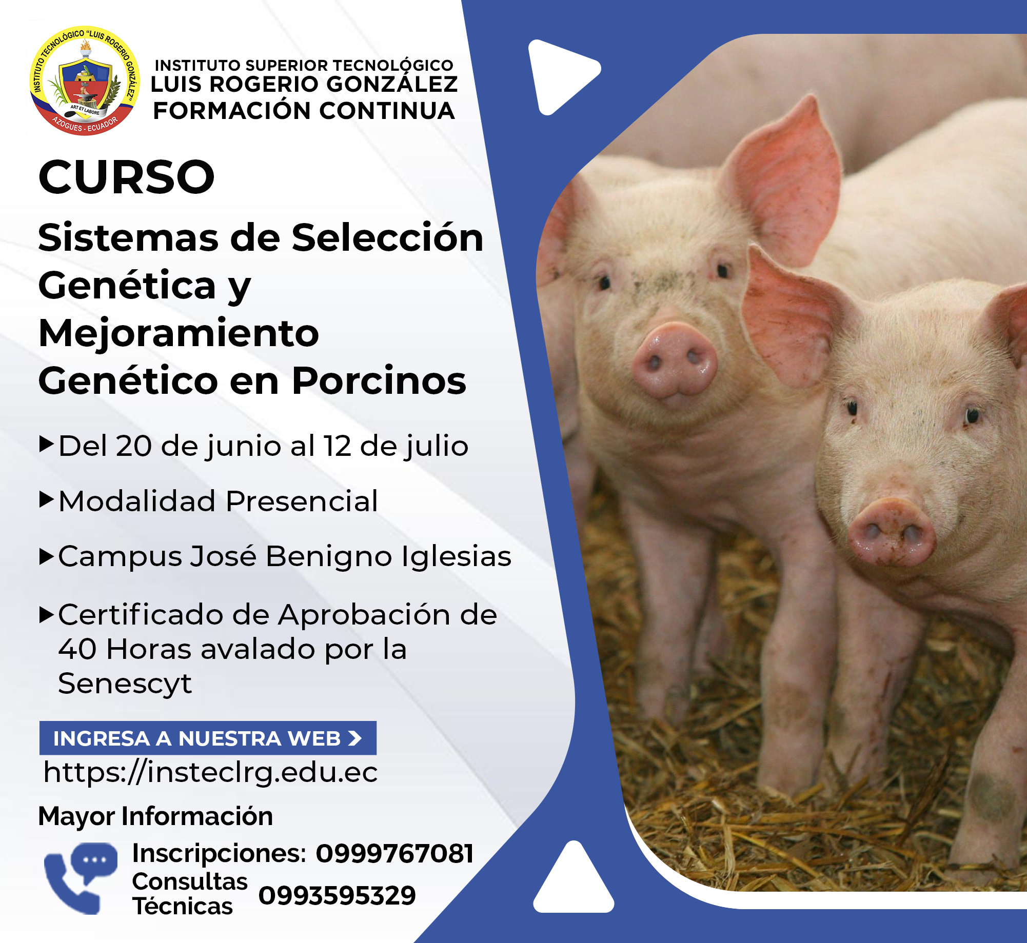 Sistemas de Selección Genética y Mejoramiento Genético en Porcinos