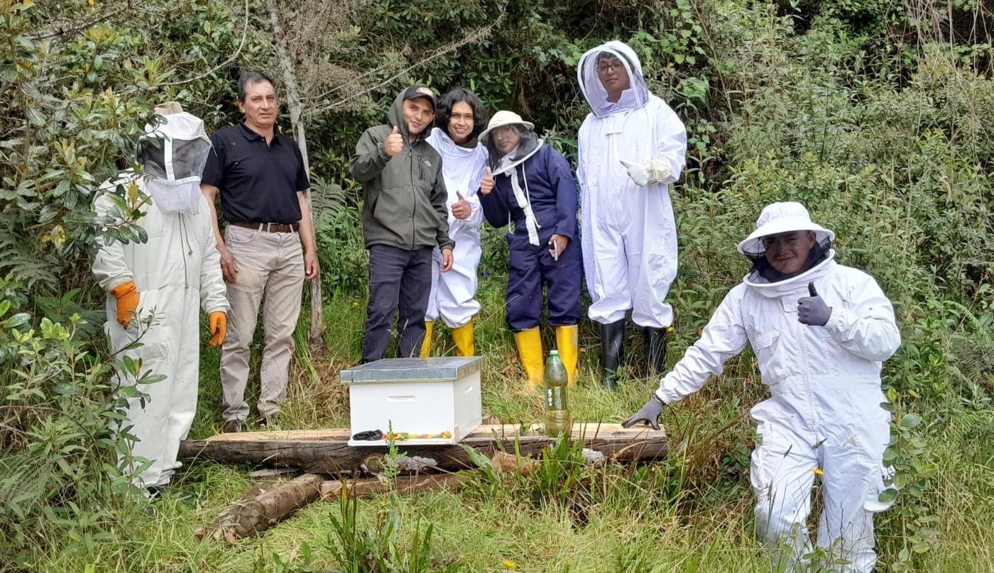 Docentes y Estudiantes de Producción Pecuaria aplican la apicultura con la reubicación de un enjambre