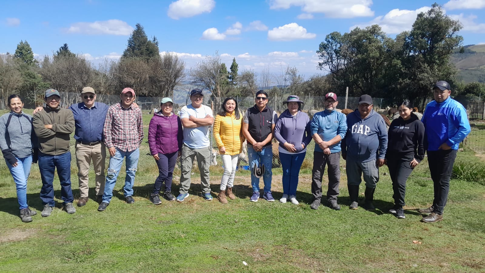 IST del Austro impulsa la formación en manejo y mejoramiento genético de camélidos sudamericanos con curso teórico-práctico