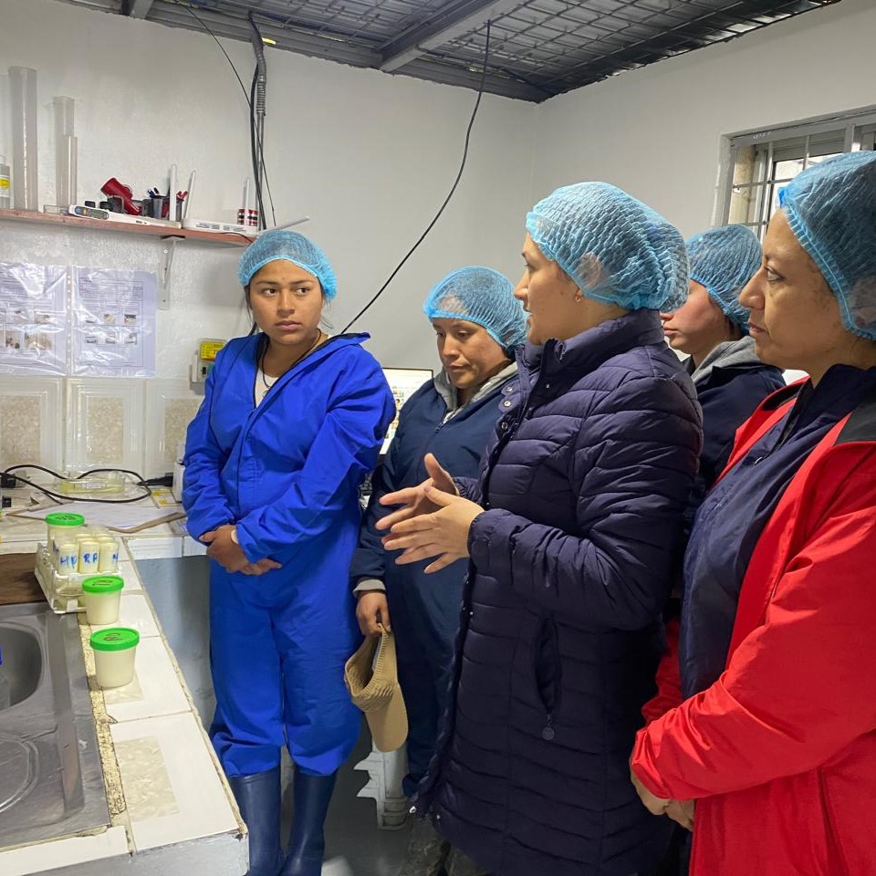 WhatsApp-Image-2025-12-04-at-10.55.17