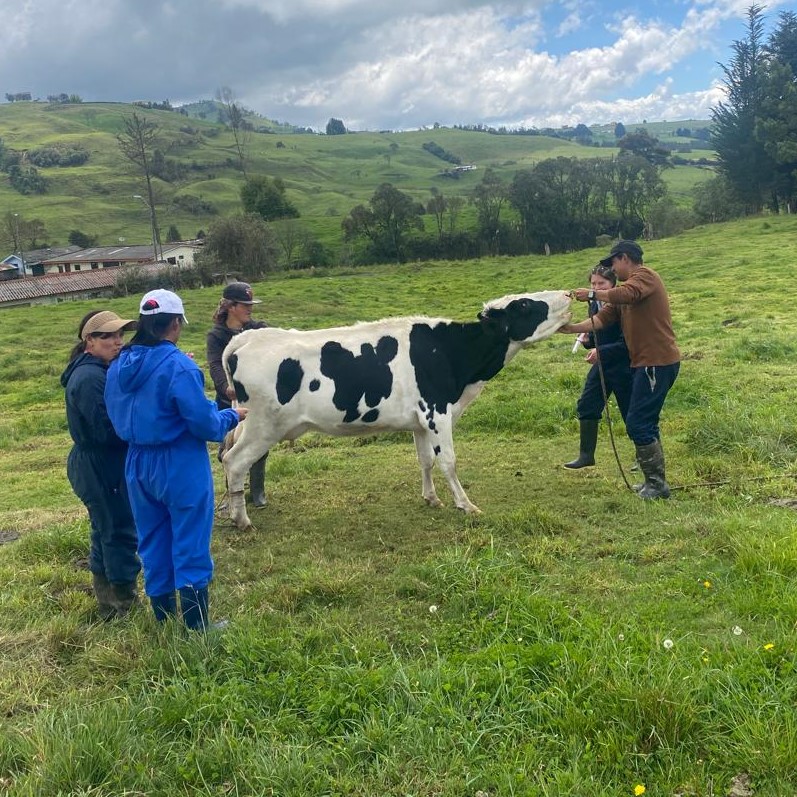 WhatsApp-Image-2025-12-04-at-10.55.20-2