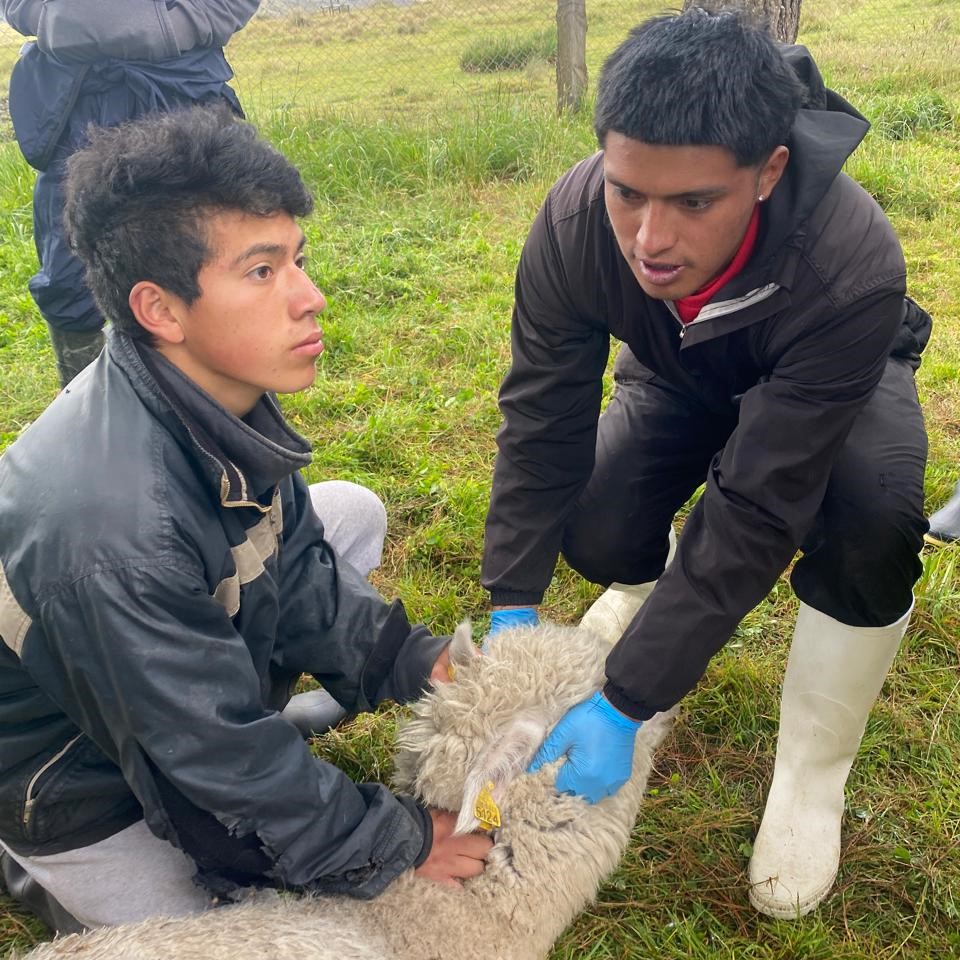 WhatsApp-Image-2025-12-04-at-10.55.21-1