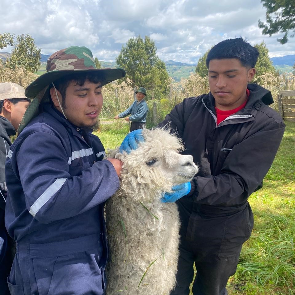 WhatsApp-Image-2025-12-04-at-10.55.21-3