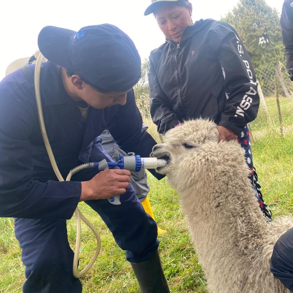 WhatsApp-Image-2025-12-04-at-10.55.21