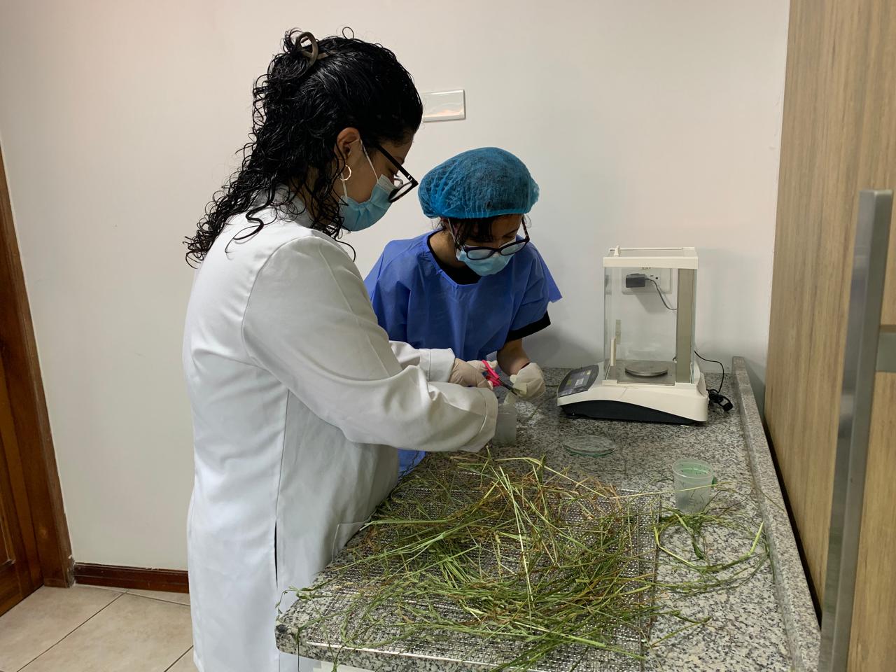 Estudiantes de Producción Pecuaria fortalecen su formación con práctica de análisis bromatológico